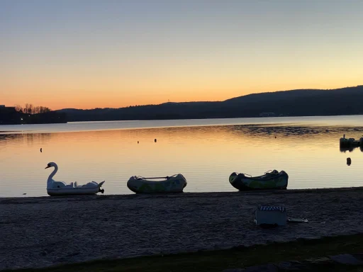 Ein Schwan und mehrere Boote am Ufer eines ruhigen Sees bei Sonnenuntergang.